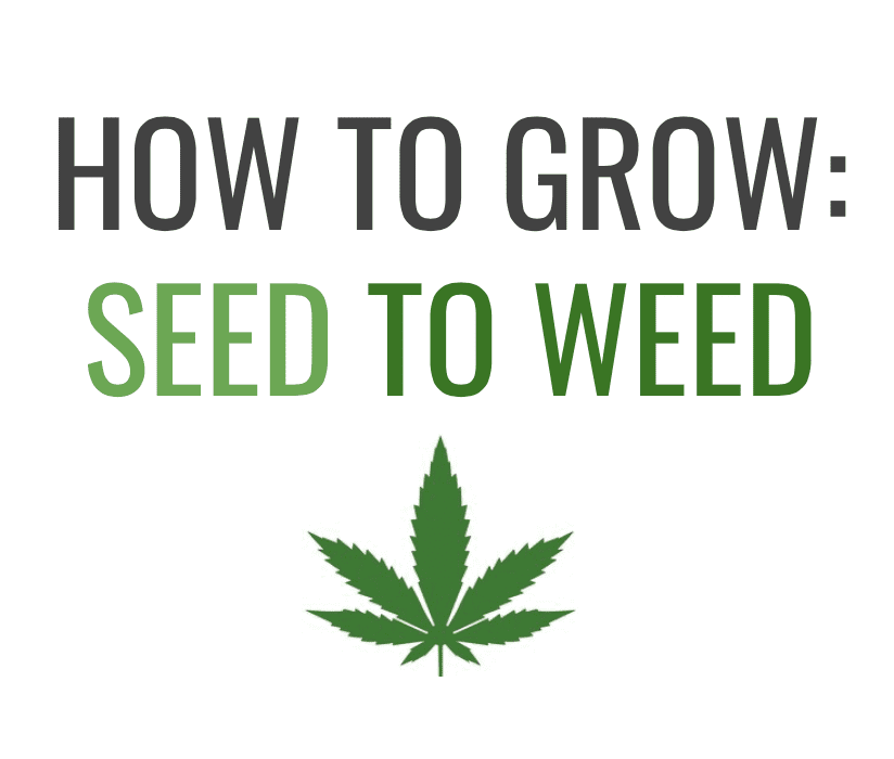 Grow your own marijuana